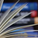 aufgeschlagenes Buch Makrofotografie