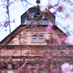 Schloss Johannisburg Aschaffenburg Architektur